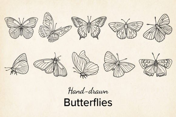 Download Vector Butterfly, Hand Drawn, SVG, PNG - Svg Collection