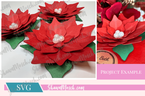 Download 3D Poinsettia SVG - Svg Collection